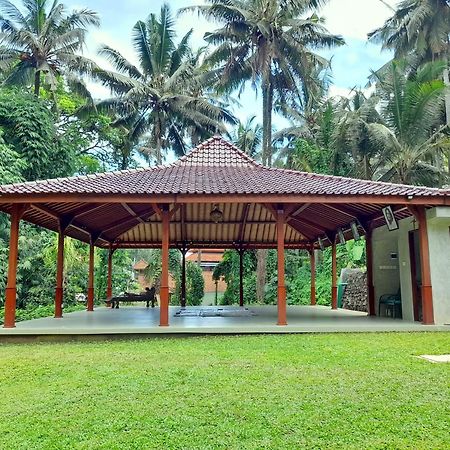 As I Am Ubud Retreat Εξωτερικό φωτογραφία