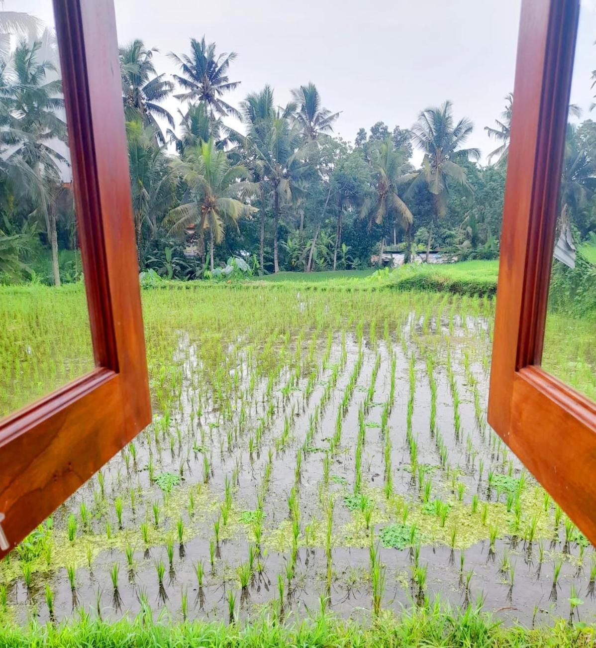 As I Am Ubud Retreat Δωμάτιο φωτογραφία