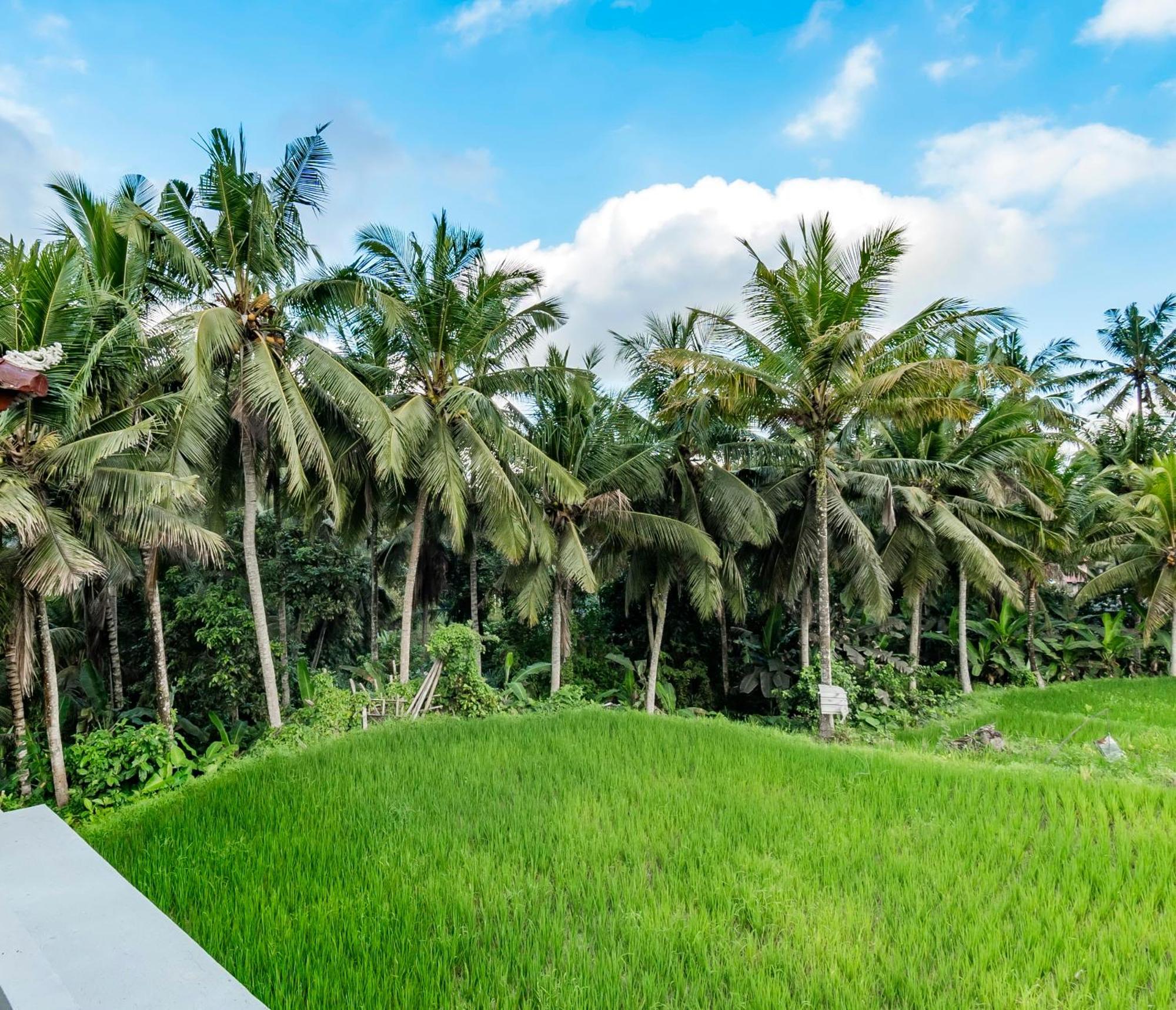As I Am Ubud Retreat Δωμάτιο φωτογραφία
