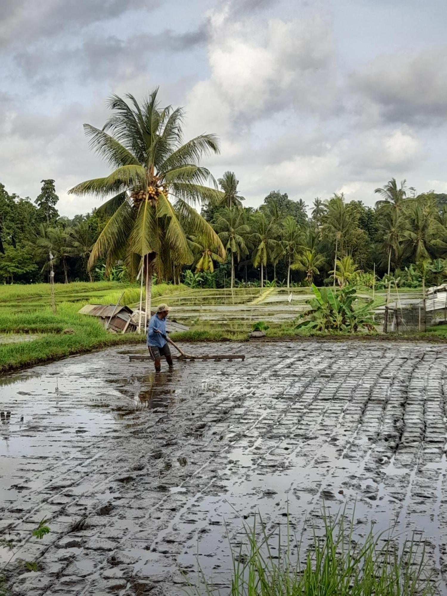 As I Am Ubud Retreat Εξωτερικό φωτογραφία