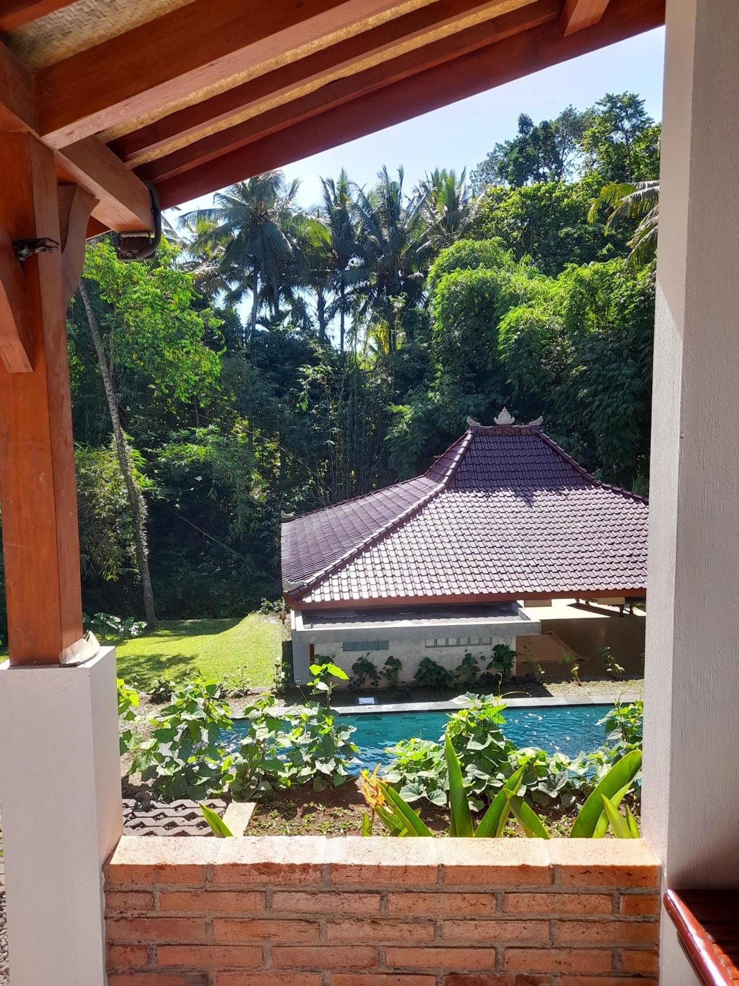 As I Am Ubud Retreat Εξωτερικό φωτογραφία